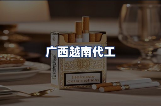 广西越南代工